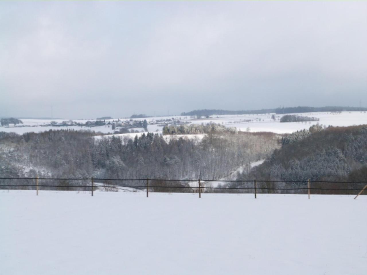 Villa Mosel Морбах Экстерьер фото