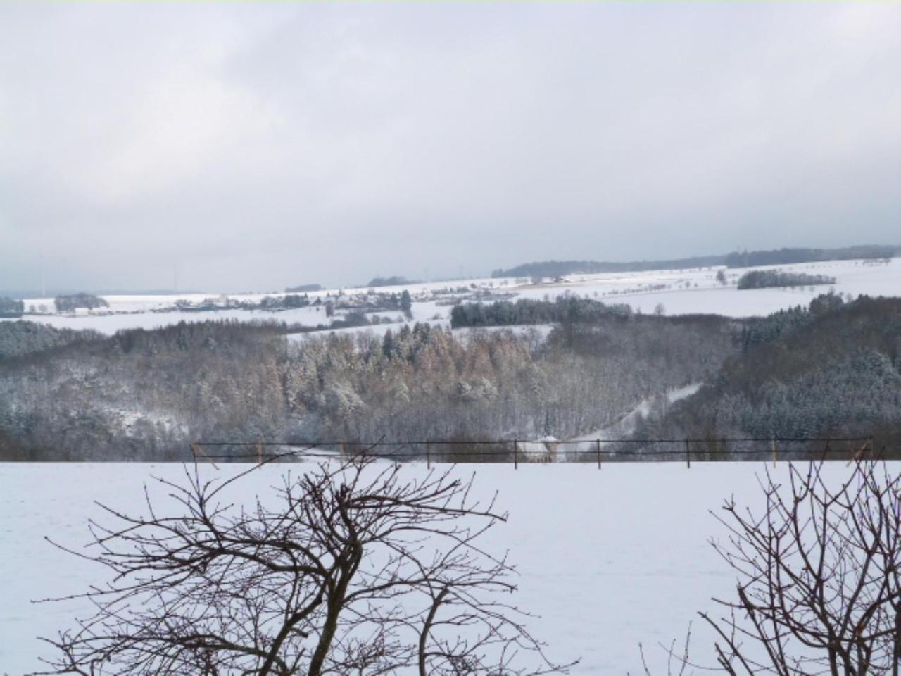Villa Mosel Морбах Экстерьер фото